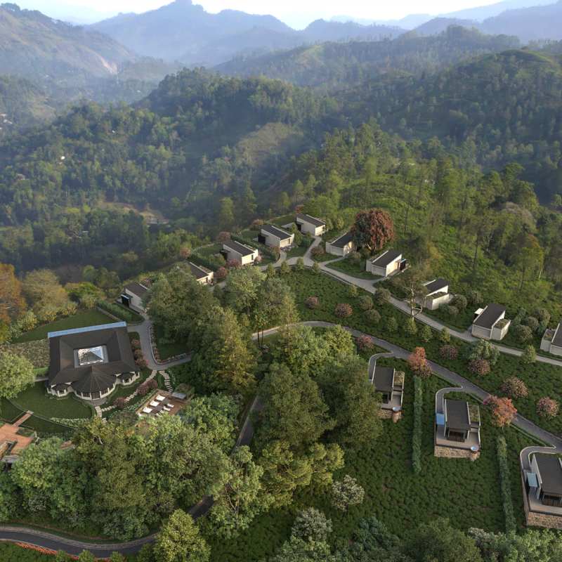 Arial View 