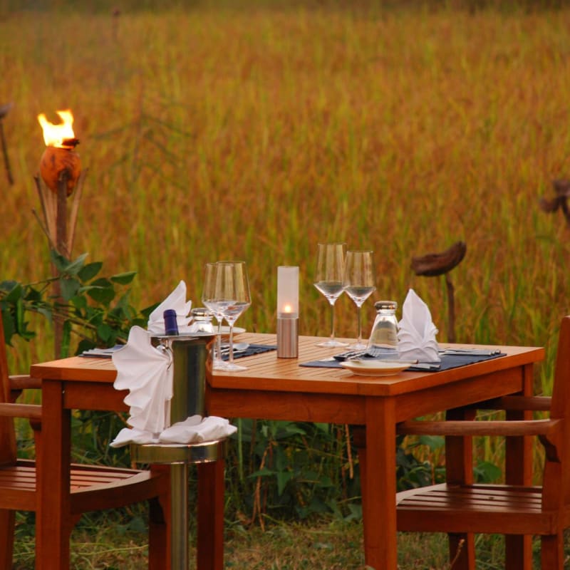 Paddy Dining - Vil Uyana