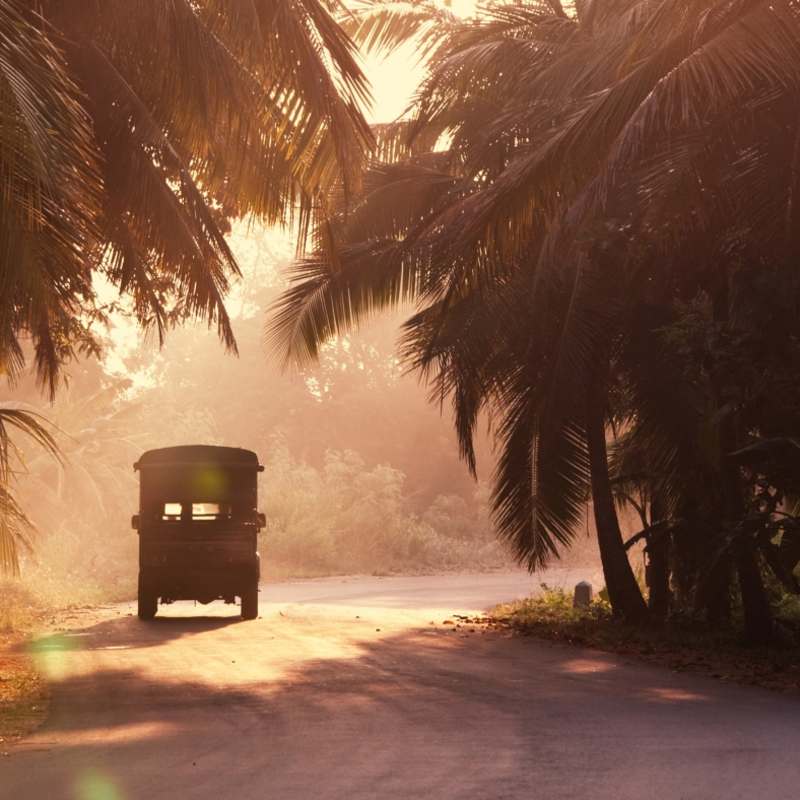 South Coast - Lazy Days and Leopards on Sri Lanka's South Coast
