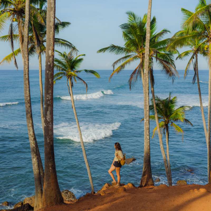Beach Area 