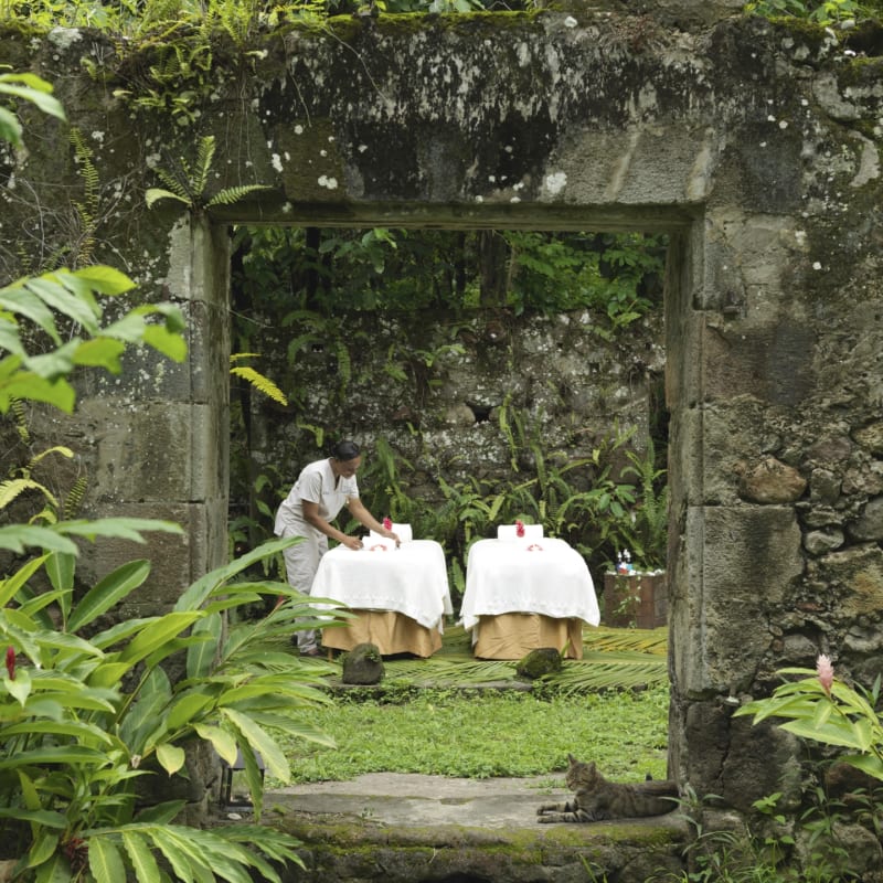Jungle Spa Experience - Anse Chastanet
