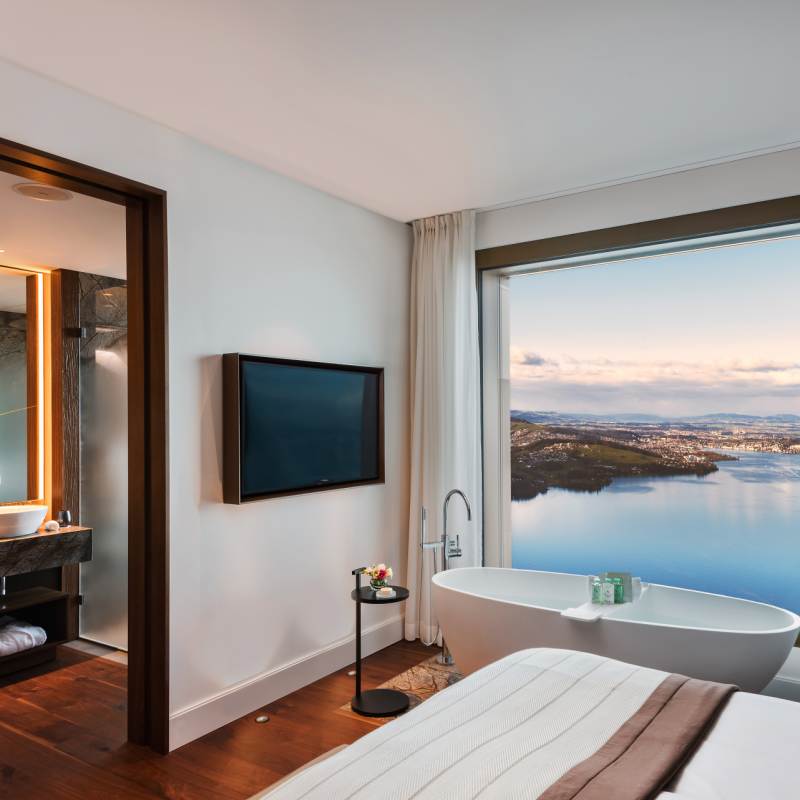 Contempory Premier Suite 