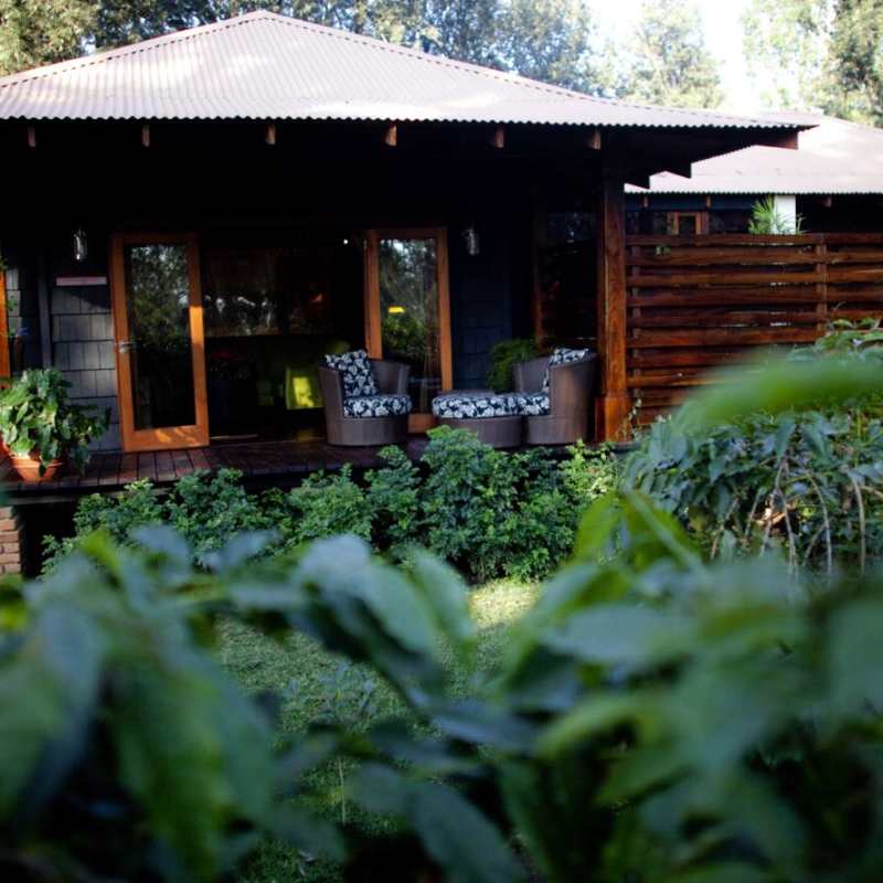 Tent exterior - Arusha Coffee Lodge