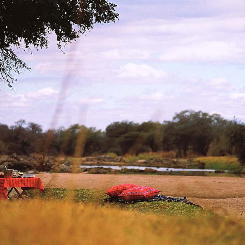 Picnic - Jongomero