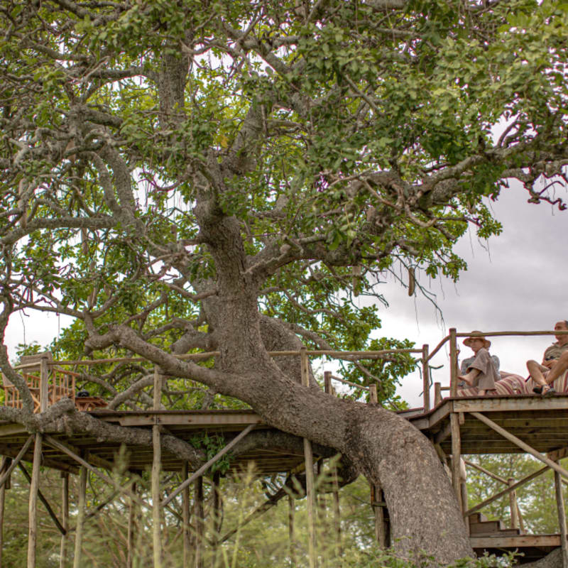 Treehouse lookout