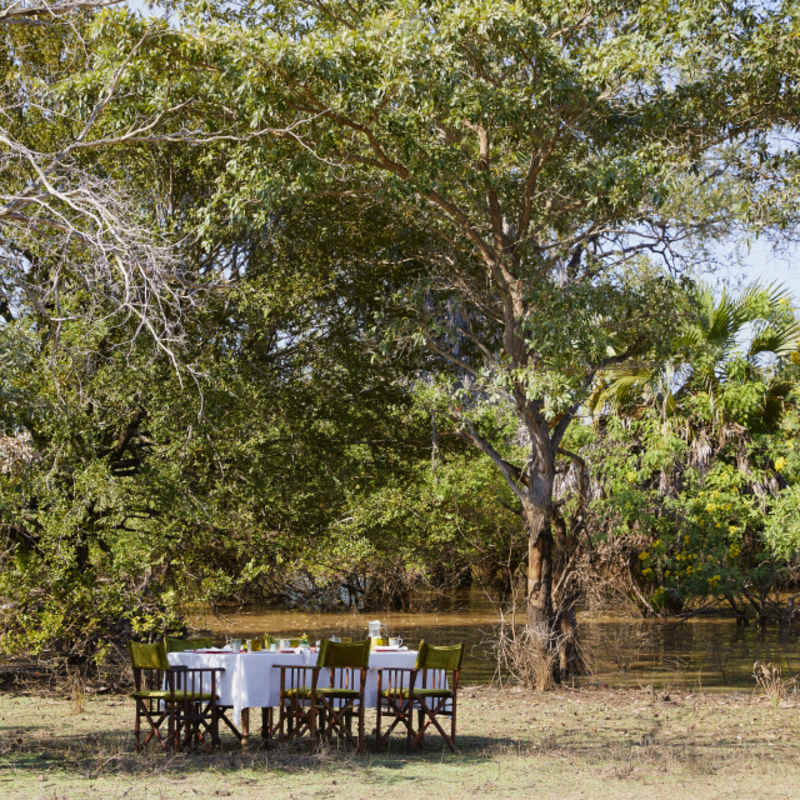 Lunch under the trees