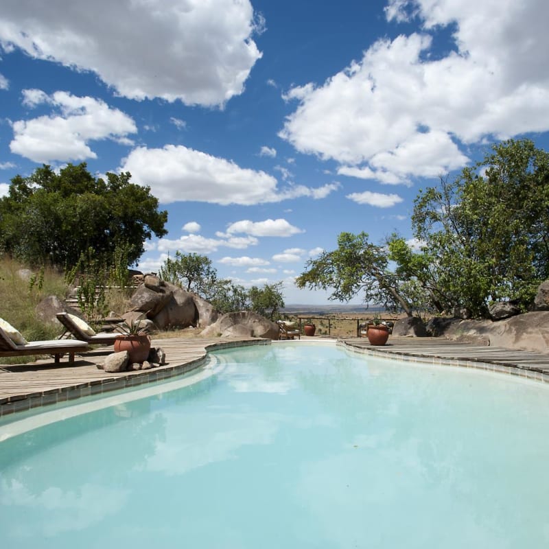 Swimming pool - Lamai Serengeti