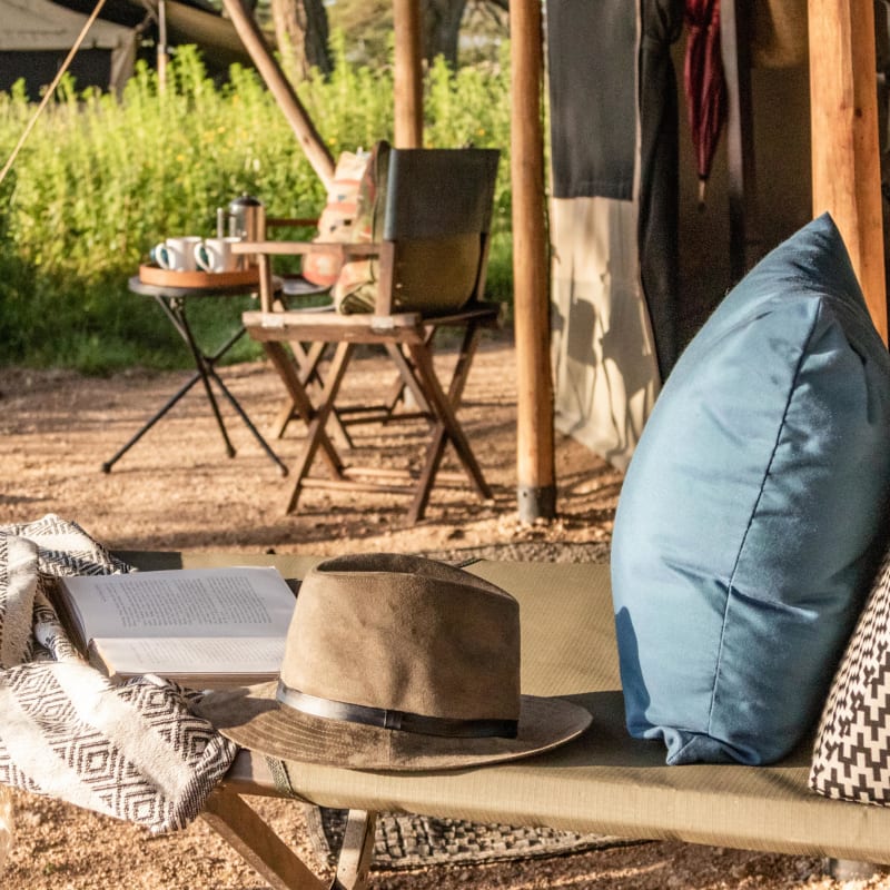 Nyasi Migrational Camp, Serengeti National Park, Tanzania