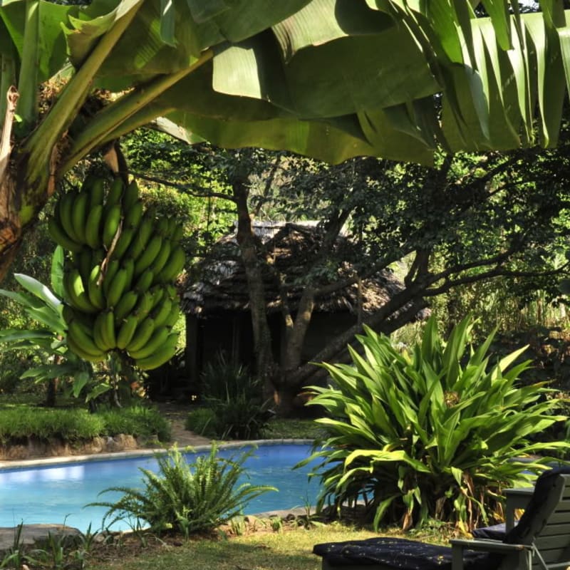 The swimming pool - Rivertrees Country Inn