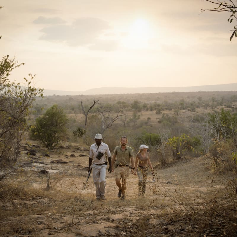 Safari walk