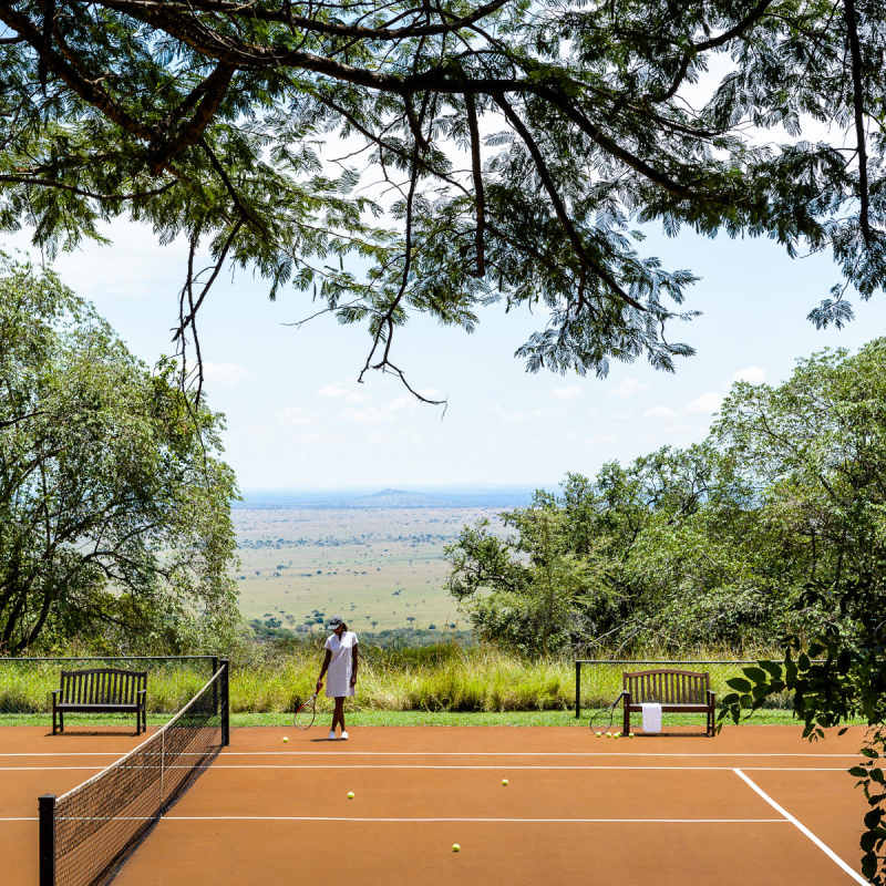 Wild Tennis 