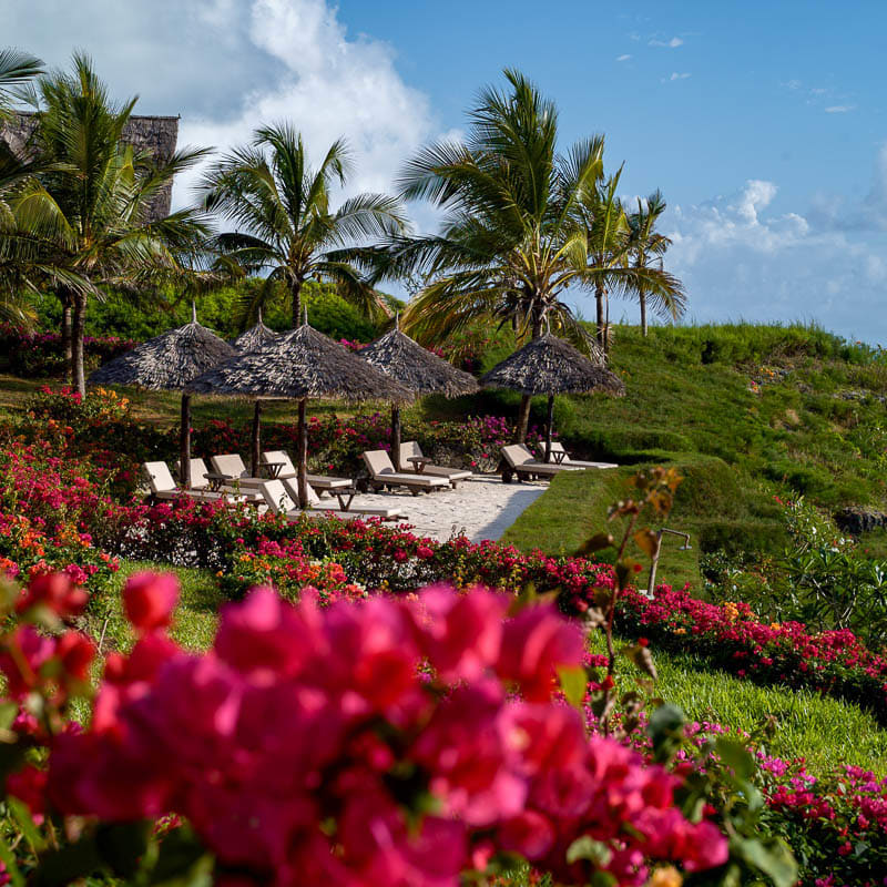 Beach terrace