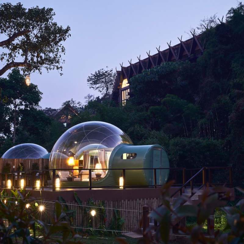 Jungle Bubble at Night
