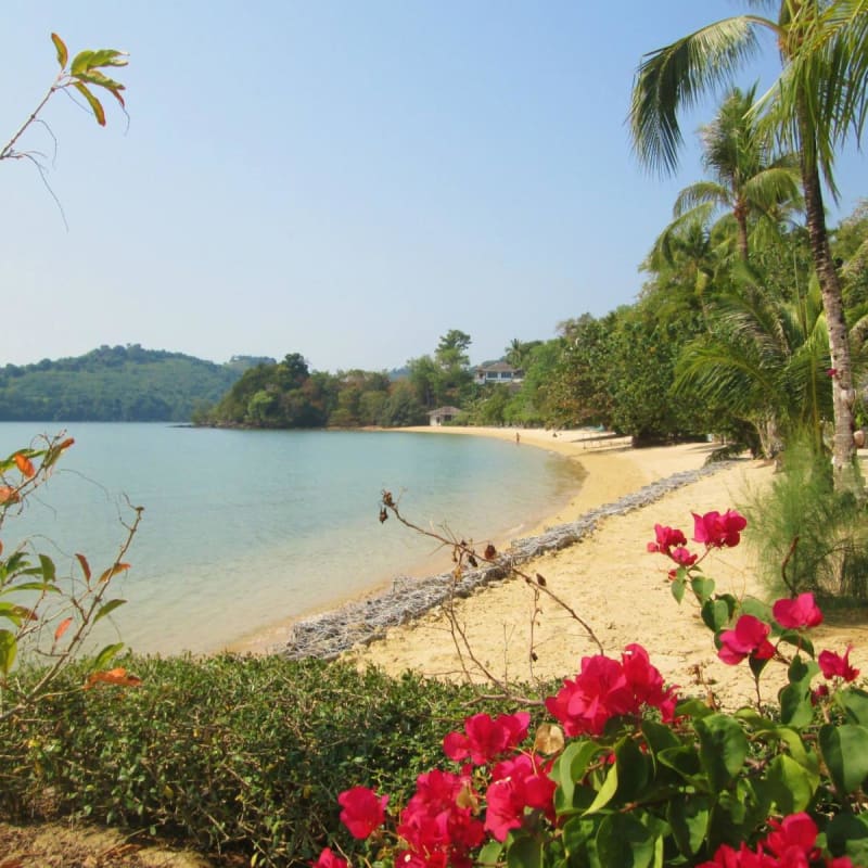 Beach - Paradise Koh Yao