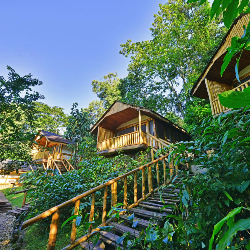 Lodge rooms