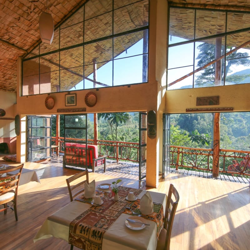 Restaurant and lounge - Mahogany Springs Safari Lodge