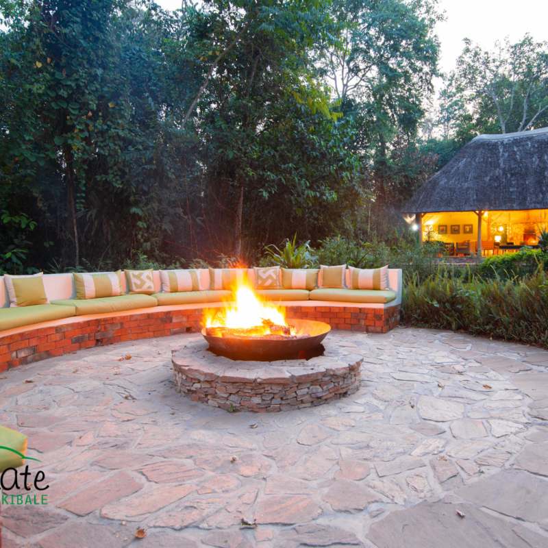 Fire Pit in Forest