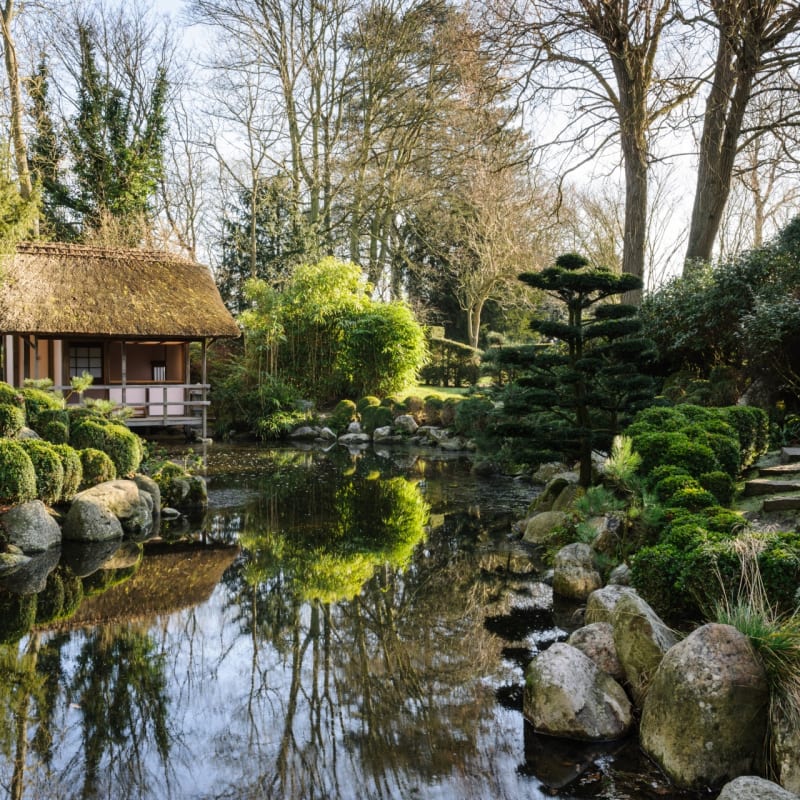 Japanese tea garden - Belmond Le Manoir aux Quat'Saisons