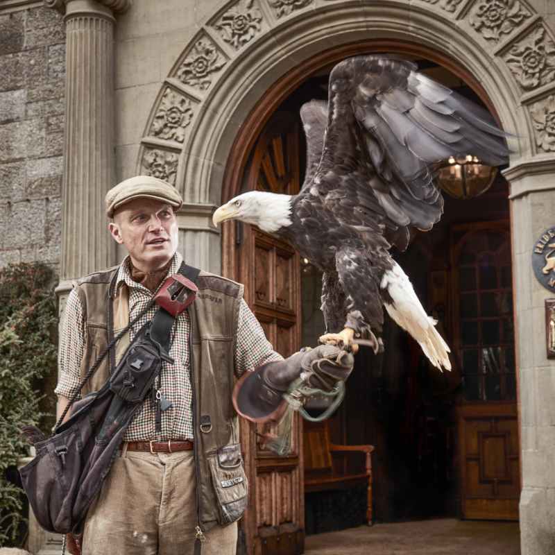 Bovey Castle - Falconry
