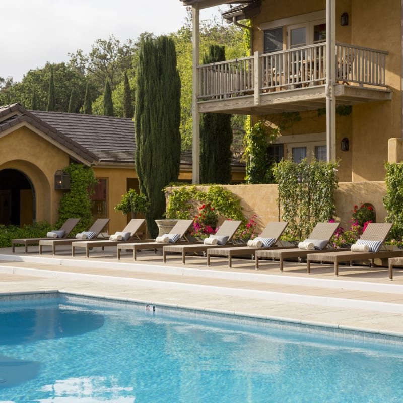 Main Pool - Bernardus Lodge & Spa