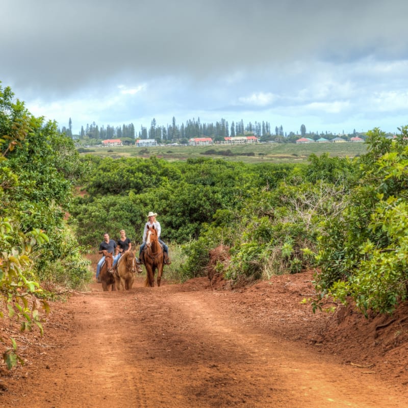 Horse Riding near Four Seasons Lana'i at Manele Bay