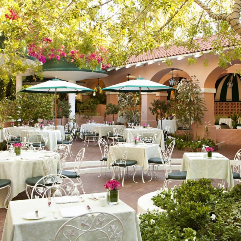 Lounge Patio - The Beverly Hills Hotel Sunset Boulevard