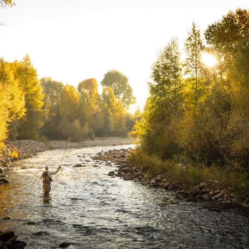 Fly Fishing