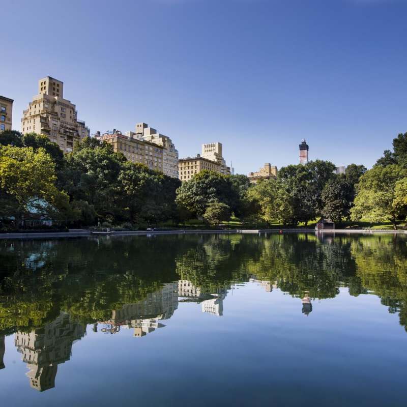 Central Park - The Mark