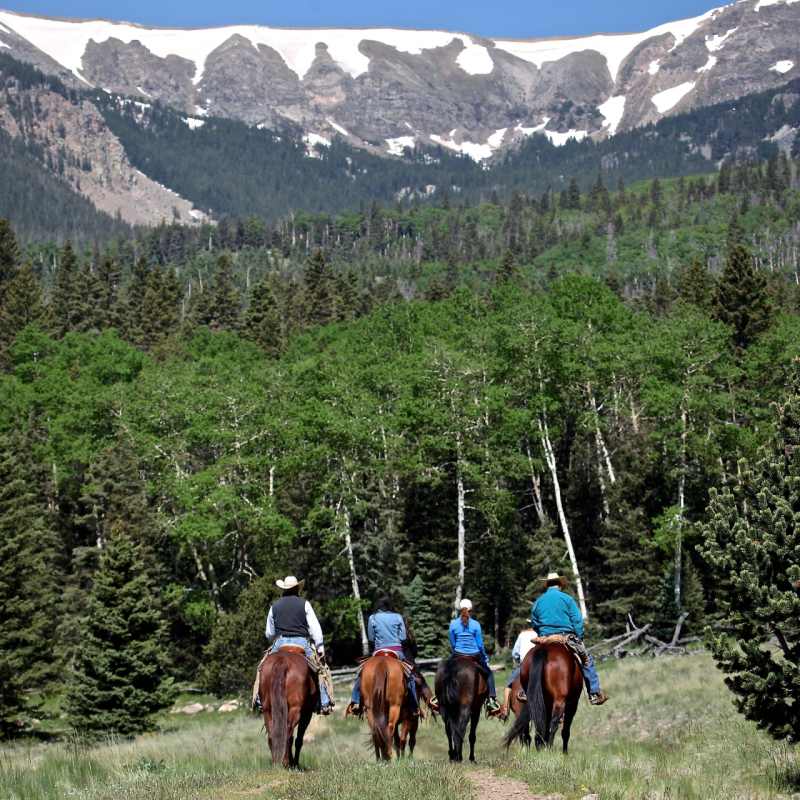 Horse Riding at Vermejo