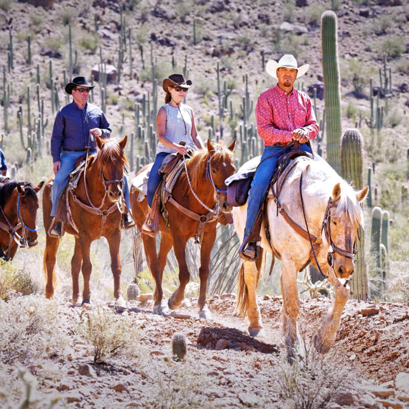 Horse Riding at White Stallion - White Stallion Ranch
