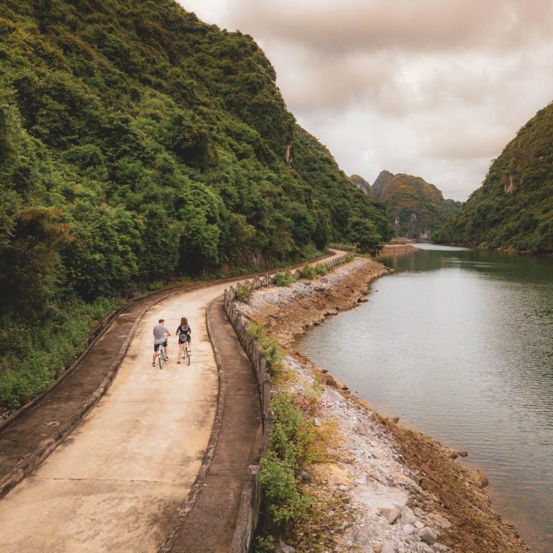 Cycling Halong Ginger 