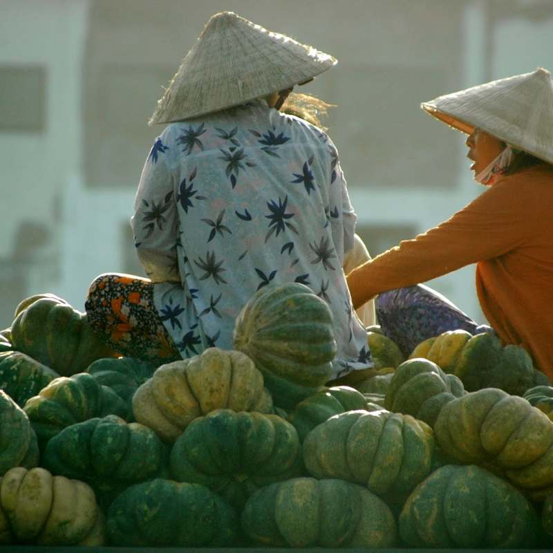 Vietnam 
