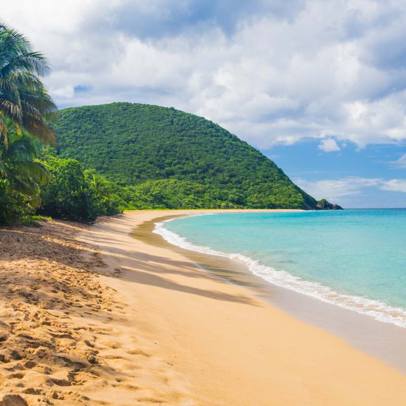 Guadelope 