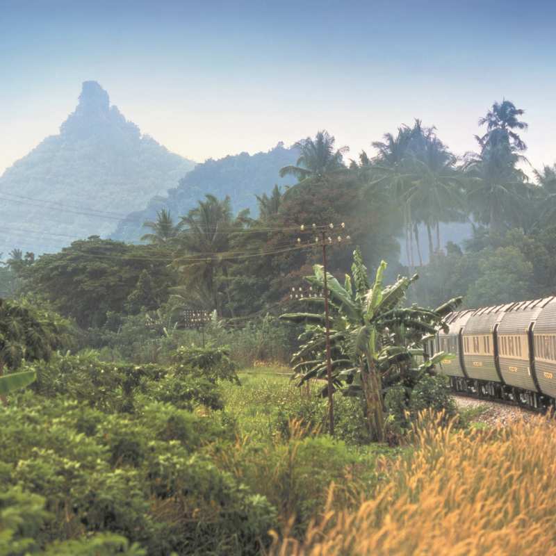 Train 