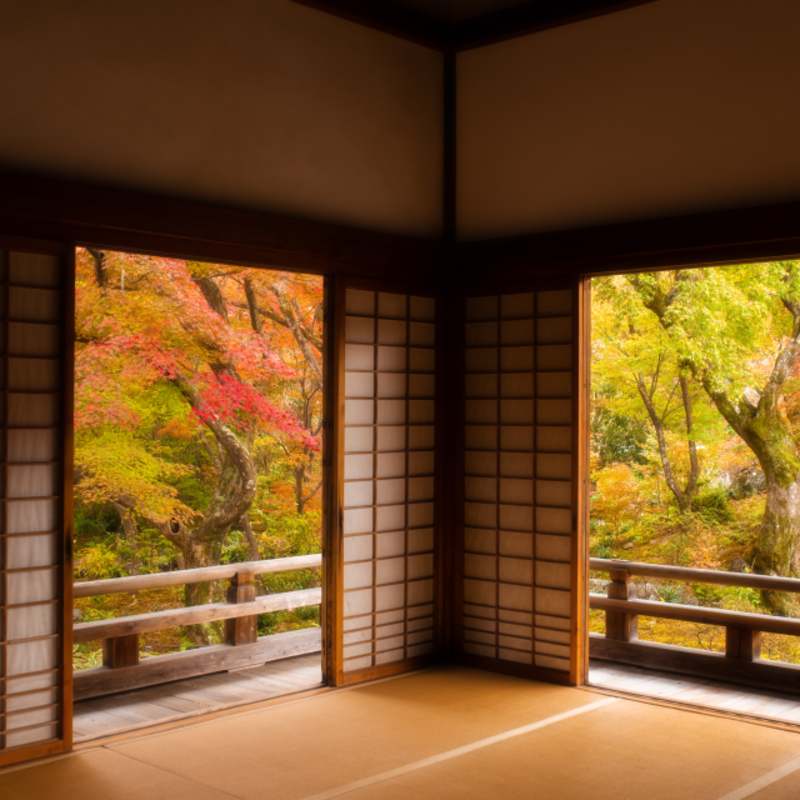 Autum Forest Through Doors 