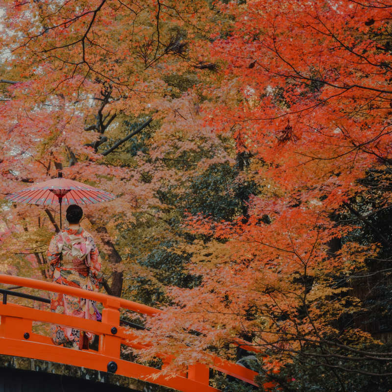 Geisha on Bridge 