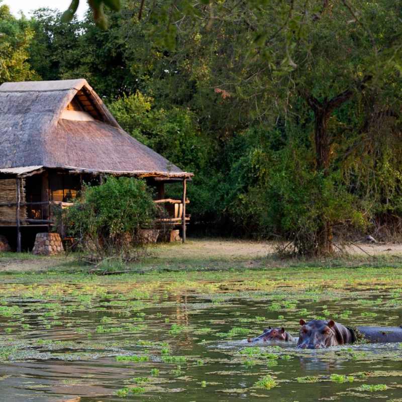 Lagoon - Mfuwe Lodge