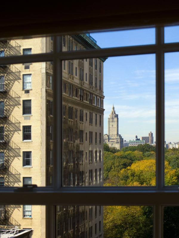 Central Park view - The Mark