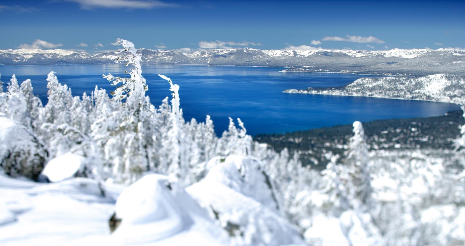 California Ski, City & Wine Adventure