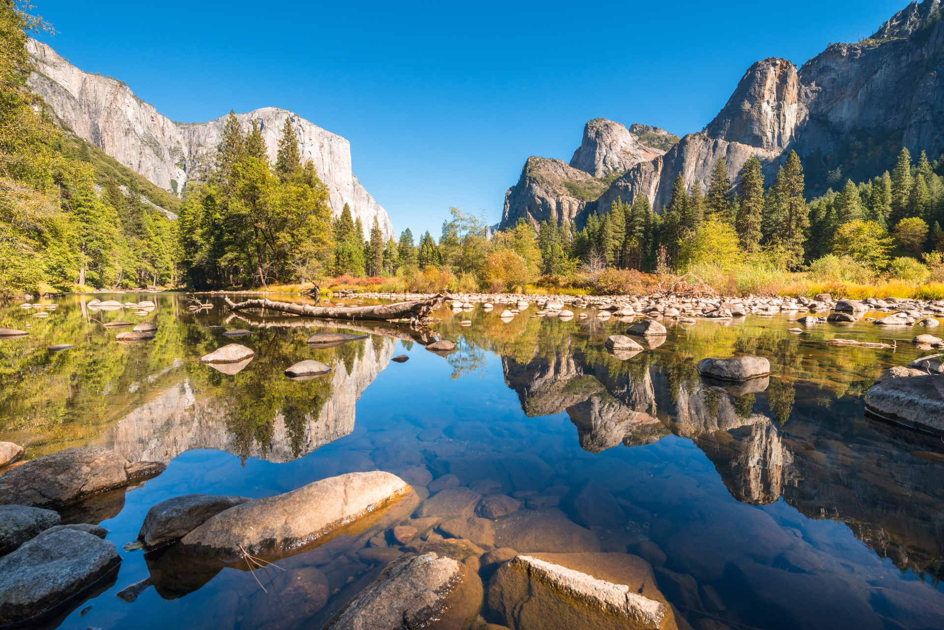 Extraordinary Northern California