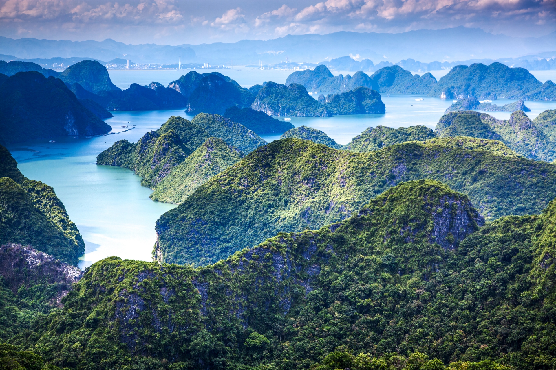 Vietnam Uncovered