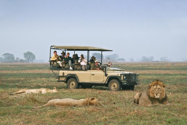 Game Drive - Busanga Bush Camp
